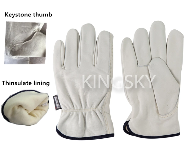 Fully Cow/Goat/Pig Leather Thinsulate C100 Lined/Unlined Driver Winter Glove Work Glove